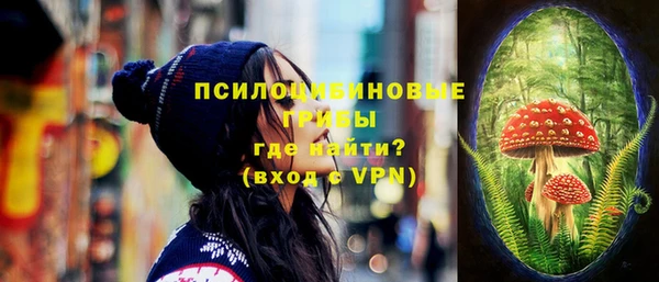 эйфоретик Абинск