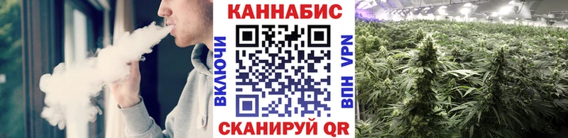 Бошки Шишки планчик  Абаза 